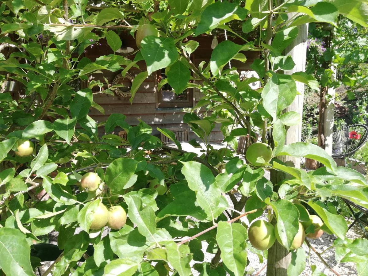 Vakantiewoning-Deblinker Sint-Laureins Luaran gambar